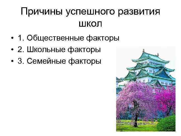 Причины успешного развития школ • 1. Общественные факторы • 2. Школьные факторы • 3.