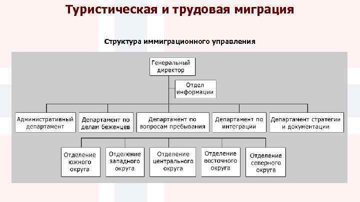 Подразделение миграции. Структура миграции. Структура миграции населения. Иерархия органов миграции. Структура миграционного отдела.