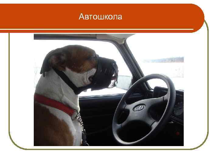 Автошкола 