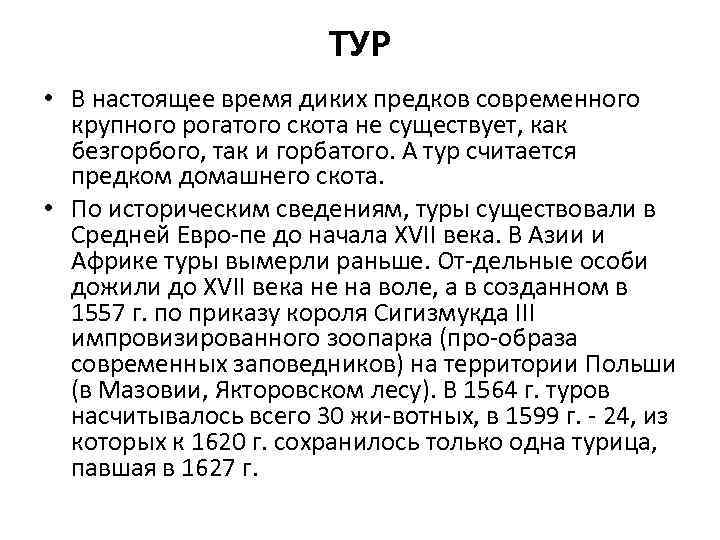 ТУР • В настоящее время диких предков современного крупного рогатого скота не существует, как