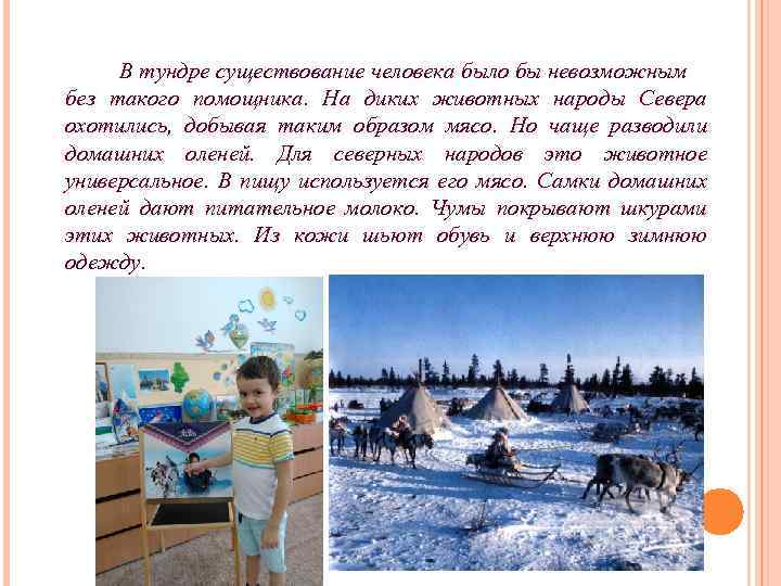 В тундре существование человека было бы невозможным без такого помощника. На диких животных народы