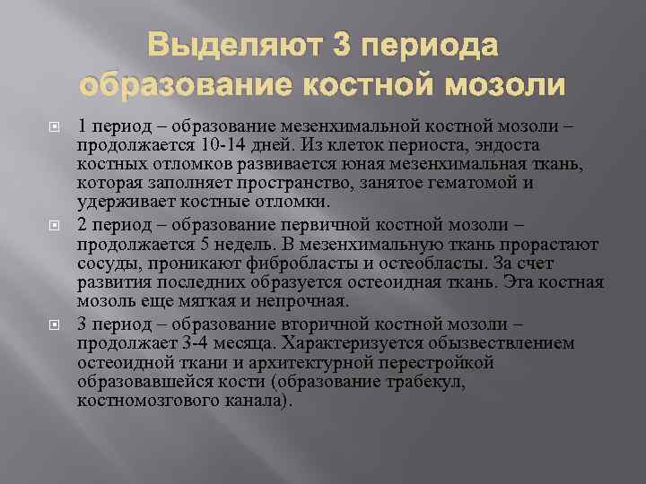 Выделяют 3 периода образование костной мозоли 1 период – образование мезенхимальной костной мозоли –