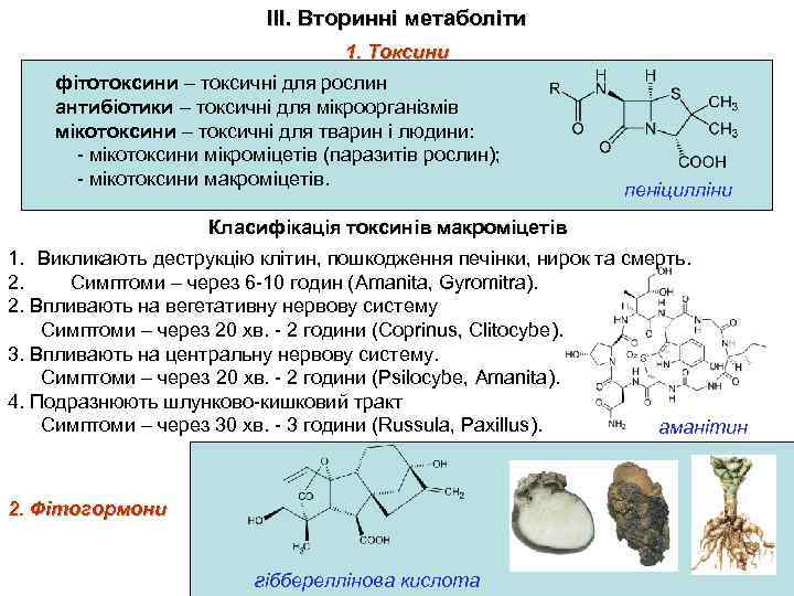 ІІІ. Вторинні метаболіти 1. Токсини фітотоксини – токсичні для рослин антибіотики – токсичні для
