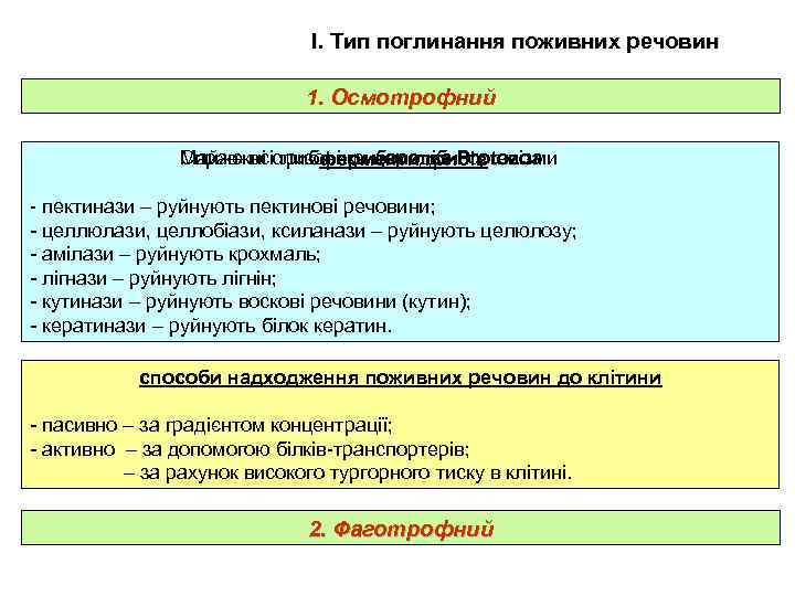 І. Тип поглинання поживних речовин 1. Осмотрофний Справжні слизовики царства Protozoa Майже всі гриби