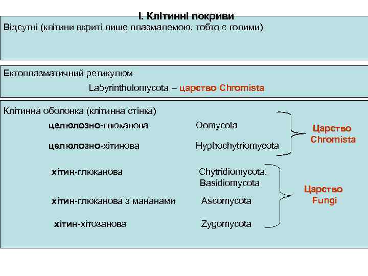 І. Клітинні покриви Відсутні (клітини вкриті лише плазмалемою, тобто є голими) Ектоплазматичний ретикулюм Грибоподібні
