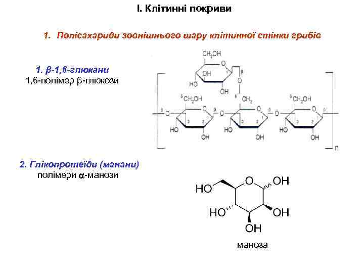 І. Клітинні покриви 1. Полісахариди зовнішнього шару клітинної стінки грибів 1. β-1, 6 -глюкани
