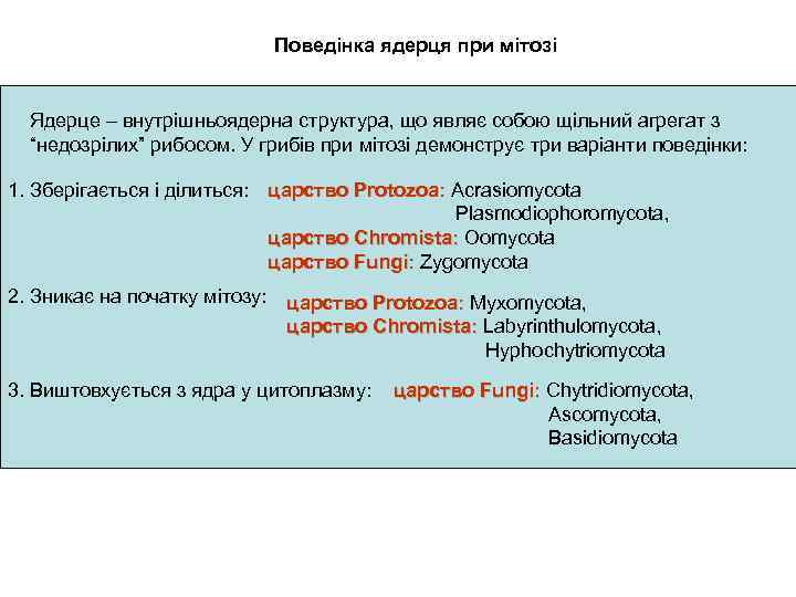 Поведінка ядерця при мітозі Ядерце – внутрішньоядерна структура, що являє собою щільний агрегат з