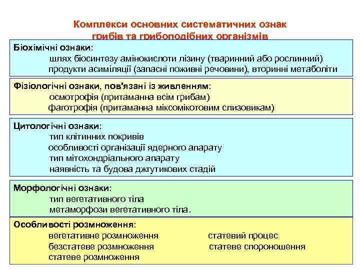 Комплекси основних систематичних ознак грибів та грибоподібних організмів Біохімічні ознаки: шлях біосинтезу амінокислоти лізину