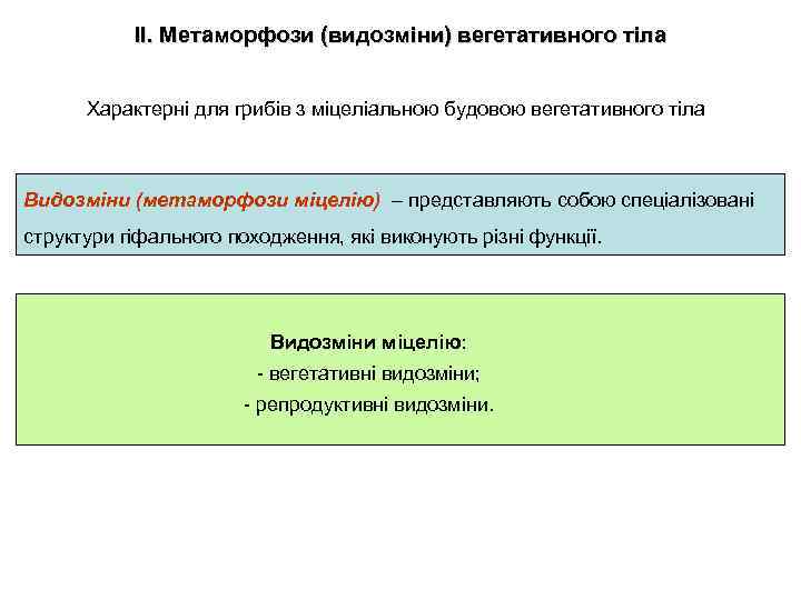 ІІ. Метаморфози (видозміни) вегетативного тіла Характерні для грибів з міцеліальною будовою вегетативного тіла Видозміни