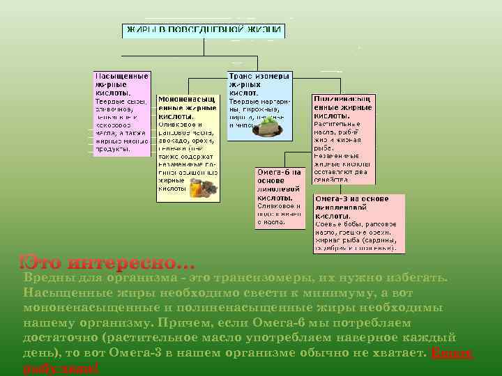 !Это интересно… Вредны для организма это трансизомеры, их нужно избегать. Насыщенные жиры необходимо свести