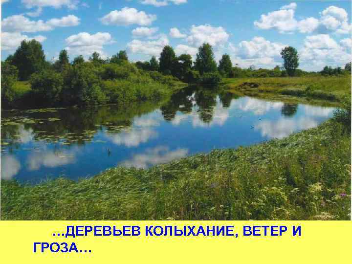 …ДЕРЕВЬЕВ КОЛЫХАНИЕ, ВЕТЕР И ГРОЗА… 