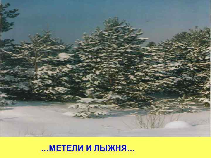…МЕТЕЛИ И ЛЫЖНЯ… 