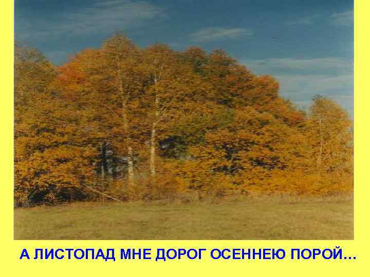 А ЛИСТОПАД МНЕ ДОРОГ ОСЕННЕЮ ПОРОЙ… 