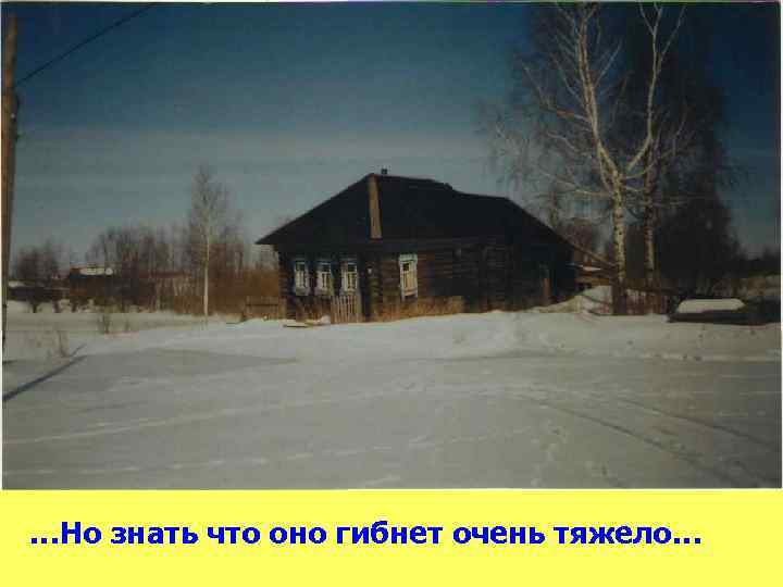 …Но знать что оно гибнет очень тяжело… 