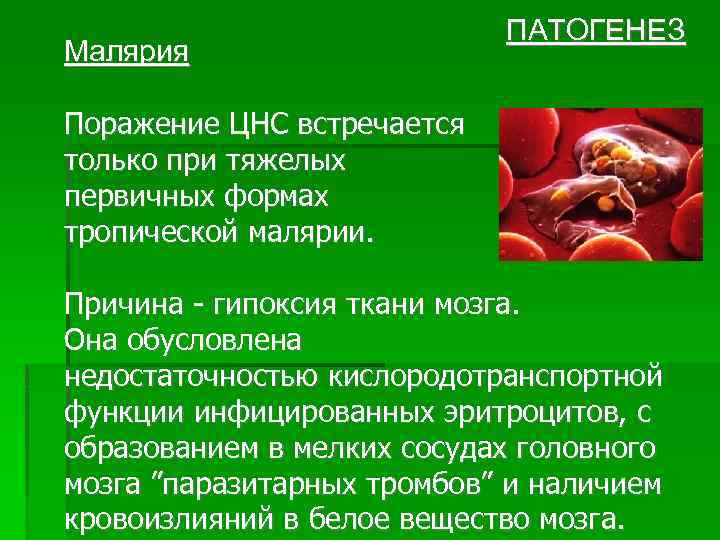 Малярия ПАТОГЕНЕЗ Поражение ЦНС встречается только при тяжелых первичных формах тропической малярии. Причина -