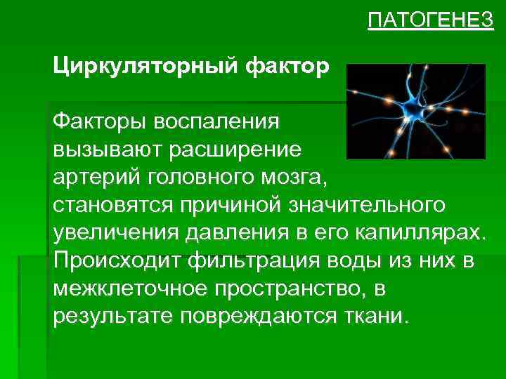 ПАТОГЕНЕЗ Циркуляторный фактор Факторы воспаления вызывают расширение артерий головного мозга, становятся причиной значительного увеличения