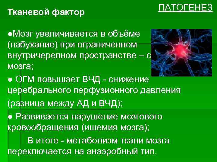 Тканевой фактор ПАТОГЕНЕЗ ●Мозг увеличивается в объёме (набухание) при ограниченном внутричерепном пространстве – сдавление