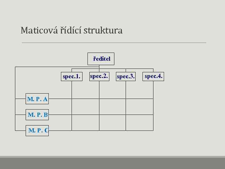  Maticová řídící struktura ředitel spec. 1. M. P. A M. P. B M.