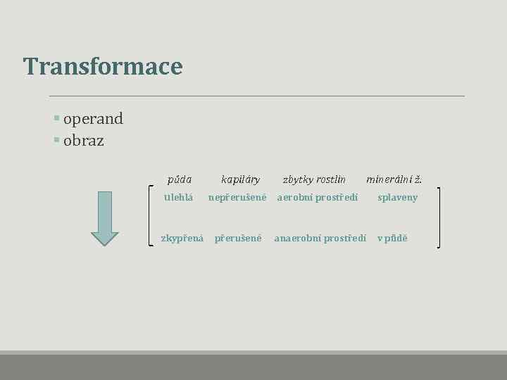 Transformace § operand § obraz půda ulehlá zkypřená kapiláry zbytky rostlin minerální ž. nepřerušené