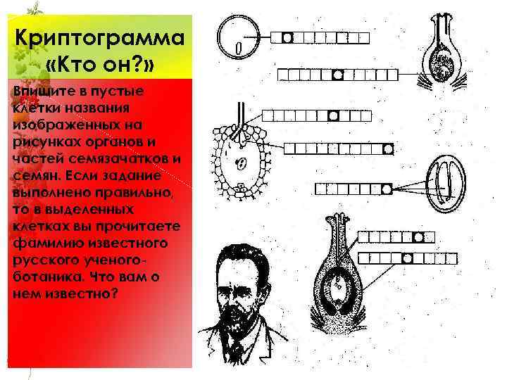 Криптограмма «Кто он? » Впишите в пустые клетки названия изображенных на рисунках органов и