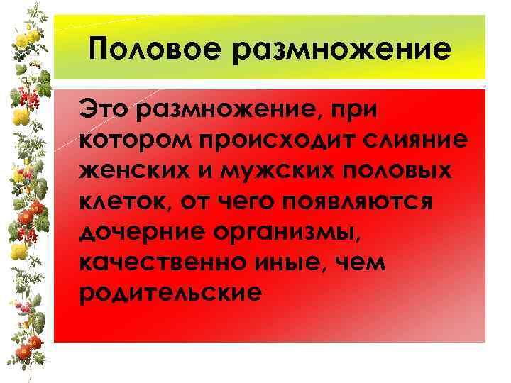 Половое размножение Это размножение, при котором происходит слияние женских и мужских половых клеток, от