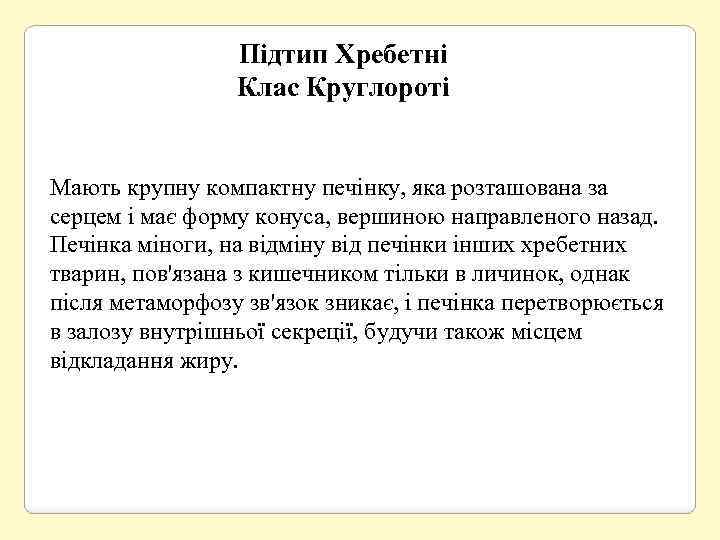 Підтип Хребетні Клас Круглороті Мають крупну компактну печінку, яка розташована за серцем і має
