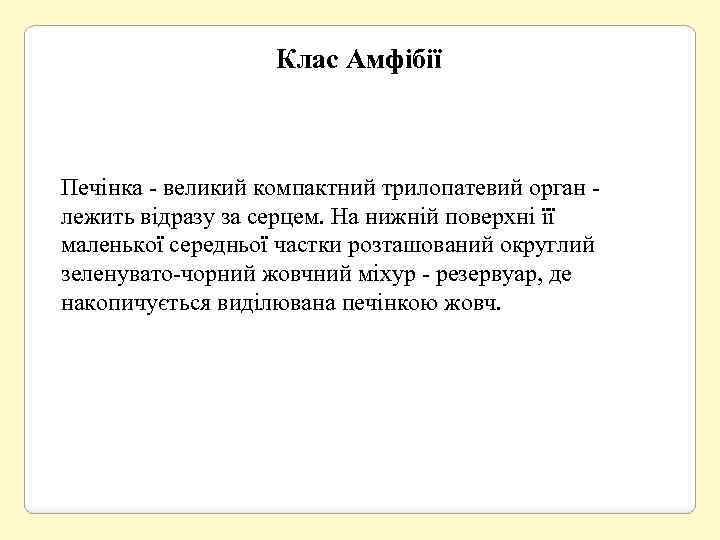 Клас Амфібії Печінка - великий компактний трилопатевий орган - лежить відразу за серцем. На