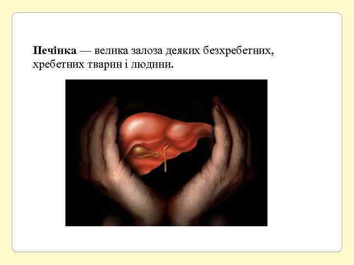 Печінка — велика залоза деяких безхребетних, хребетних тварин і людини. 