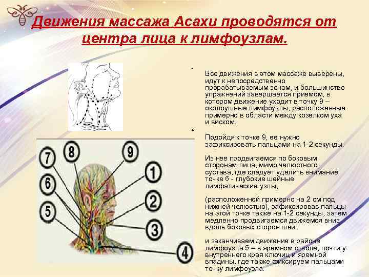 Движения массажа Асахи проводятся от центра лица к лимфоузлам. • • Все движения в