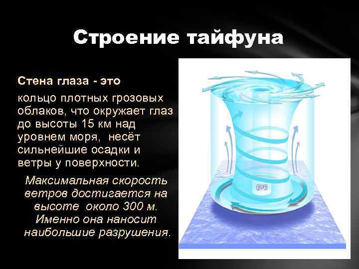Строение тайфуна Стена глаза - это кольцо плотных грозовых облаков, что окружает глаз до
