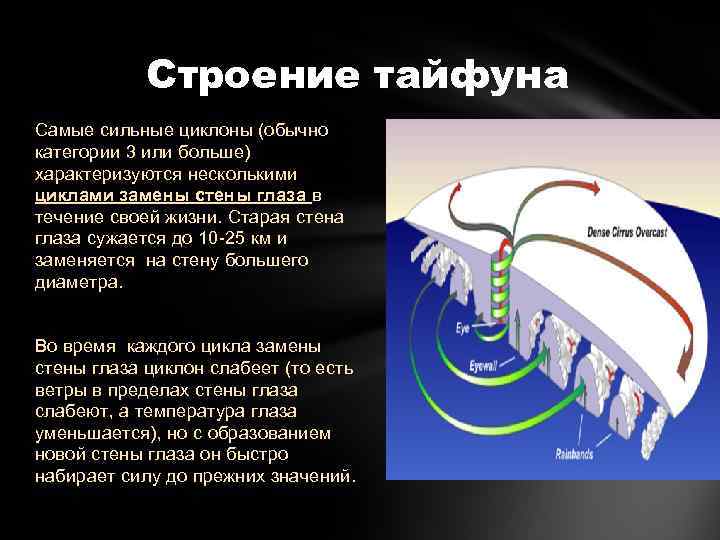 Строение тайфуна Самые сильные циклоны (обычно категории 3 или больше) характеризуются несколькими циклами замены