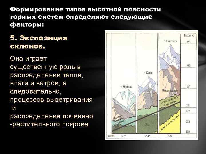 Формирование типов высотной поясности горных систем определяют следующие факторы: 5. Экспозиция склонов. Она играет