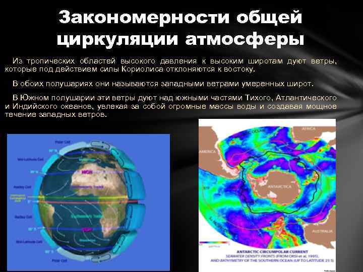 Закономерности общей циркуляции атмосферы Из тропических областей высокого давления к высоким широтам дуют ветры,