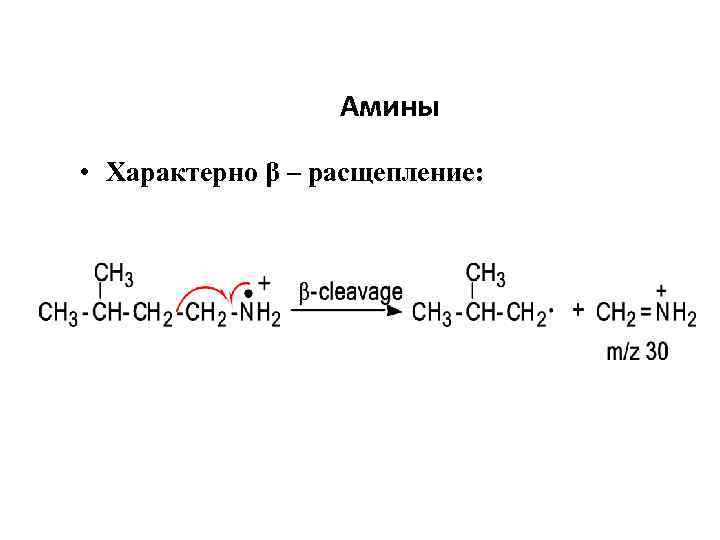 Амины • Характерно β – расщепление: 