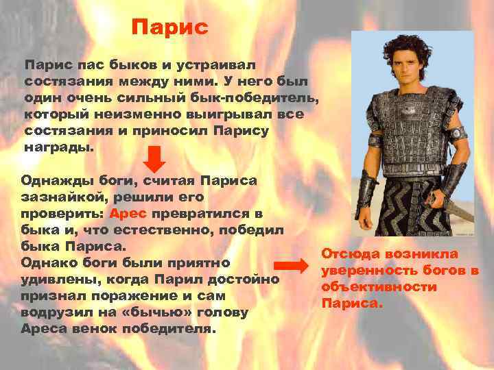 Парис пас быков и устраивал состязания между ними. У него был один очень сильный