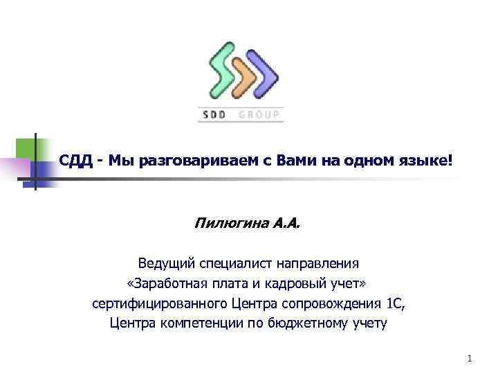 СДД - Мы разговариваем с Вами на одном языке! Пилюгина А. А. Ведущий специалист