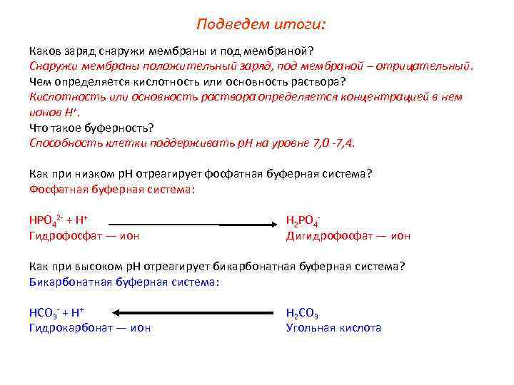 Подведем итоги: Каков заряд снаружи мембраны и под мембраной? Снаружи мембраны положительный заряд, под