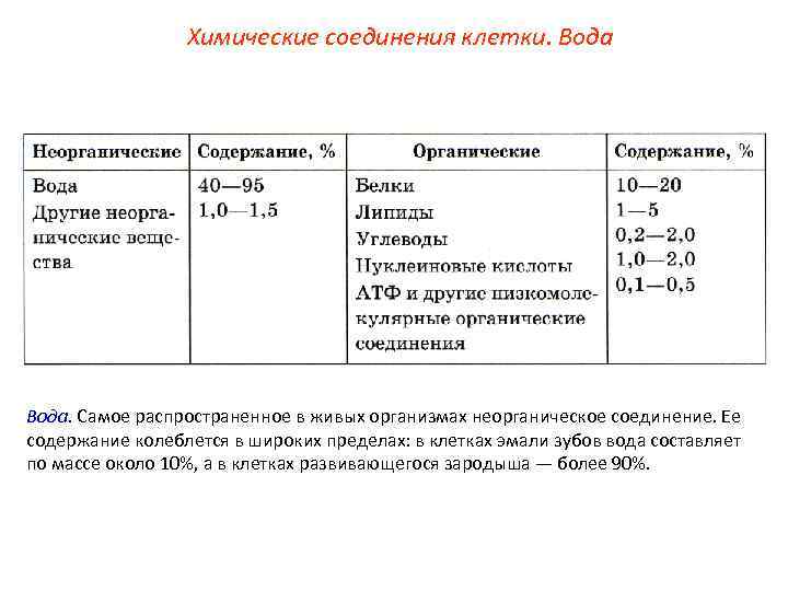 Вещества клетки вода. Содержание неорганических веществ в клетке. Неорганические соединения клетки их функции. Химические соединения клетки. Химические соединения клетки таблица.