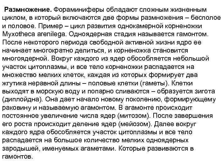 Размножение. Фораминиферы обладают сложным жизненным циклом, в который включаются две формы размножения – бесполое