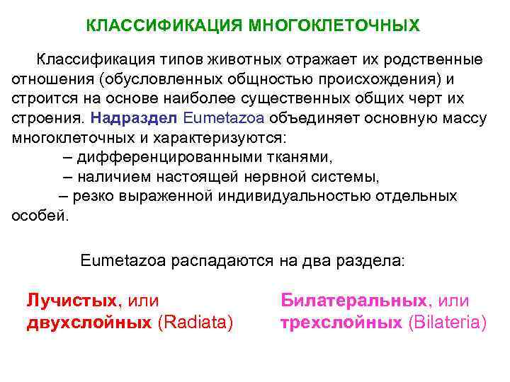 КЛАССИФИКАЦИЯ МНОГОКЛЕТОЧНЫХ Классификация типов животных отражает их родственные отношения (обусловленных общностью происхождения) и строится