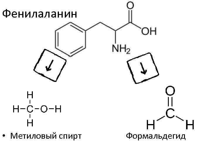 Метанол метиловый эфир. Этерификация фенилаланина. Фенилаланин реакция этерификации. Фенилаланин + этанол. Фенилаланин + метанол.
