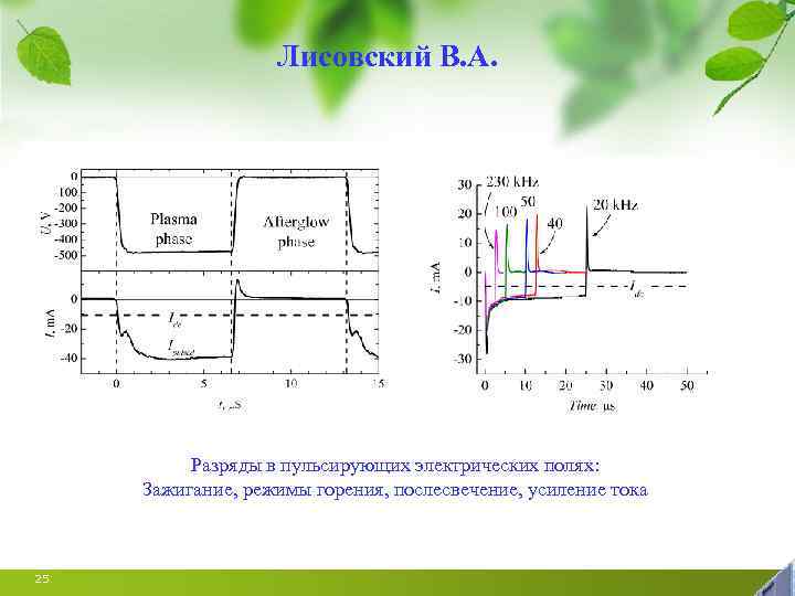 Лисовский В. А. Разряды в пульсирующих электрических полях: Зажигание, режимы горения, послесвечение, усиление тока