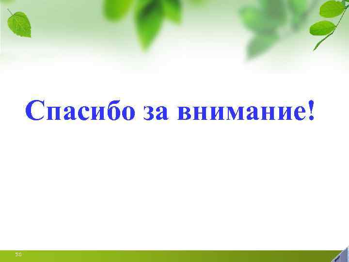 Спасибо за внимание! 50 