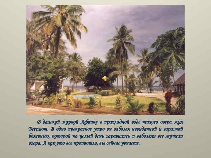 В далекой жаркой Африке в прохладной воде тихого озера жил Бегемот. В одно прекрасное
