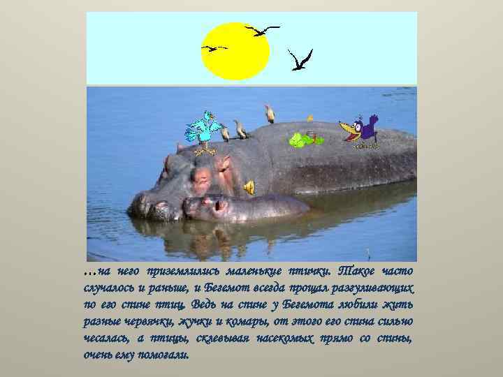 …на него приземлились маленькие птички. Такое часто случалось и раньше, и Бегемот всегда прощал