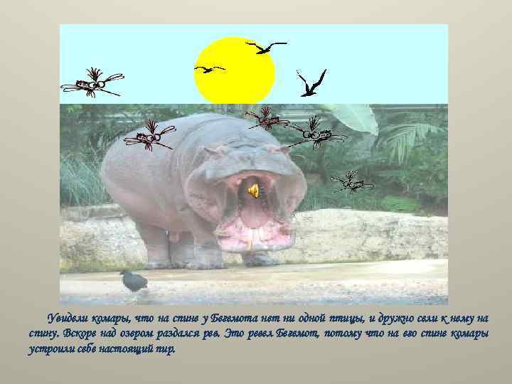 Увидели комары, что на спине у Бегемота нет ни одной птицы, и дружно сели
