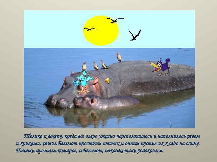 Только к вечеру, когда все озеро ужасно переполошилось и наполнилось ревом и криками, решил
