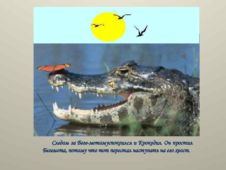 Следом за Беге мотомуспокоился и Крокодил. Он простил Бегемота, потому что тот перестал наступать
