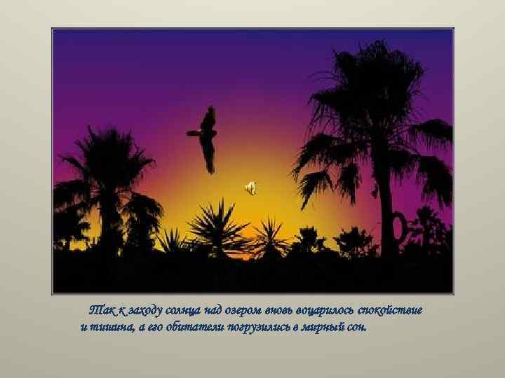 Так к заходу солнца над озером вновь воцарилось спокойствие и тишина, а его обитатели