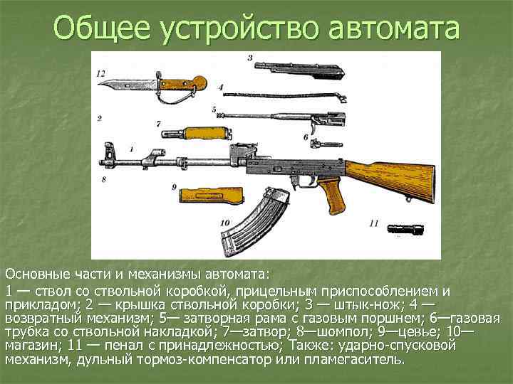 Общее устройство автомата Основные части и механизмы автомата: 1 — ствол со ствольной коробкой,